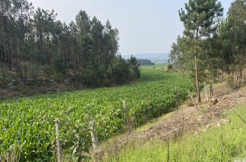 IMG_1365