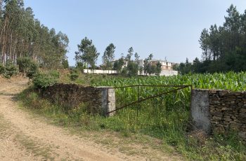 IMG_1367