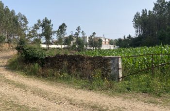 IMG_1368